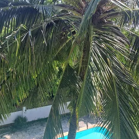 Ary Homestay Nyali - On Corral Drive Mombasa Exterior photo
